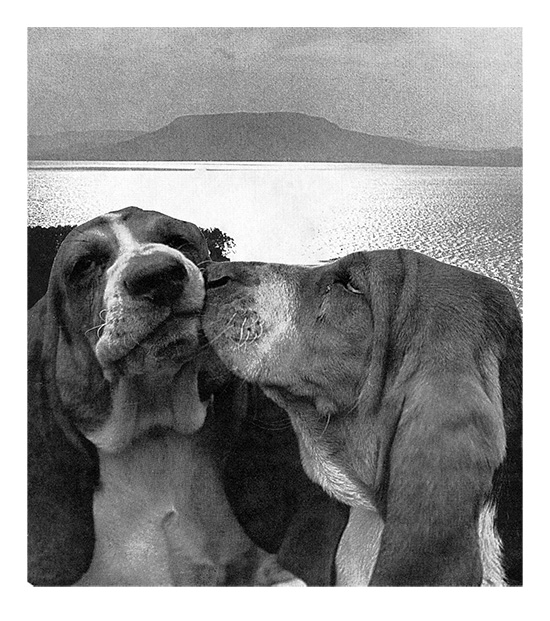 Love Story, 1981., papír, kollázs, 150 x 140 mm