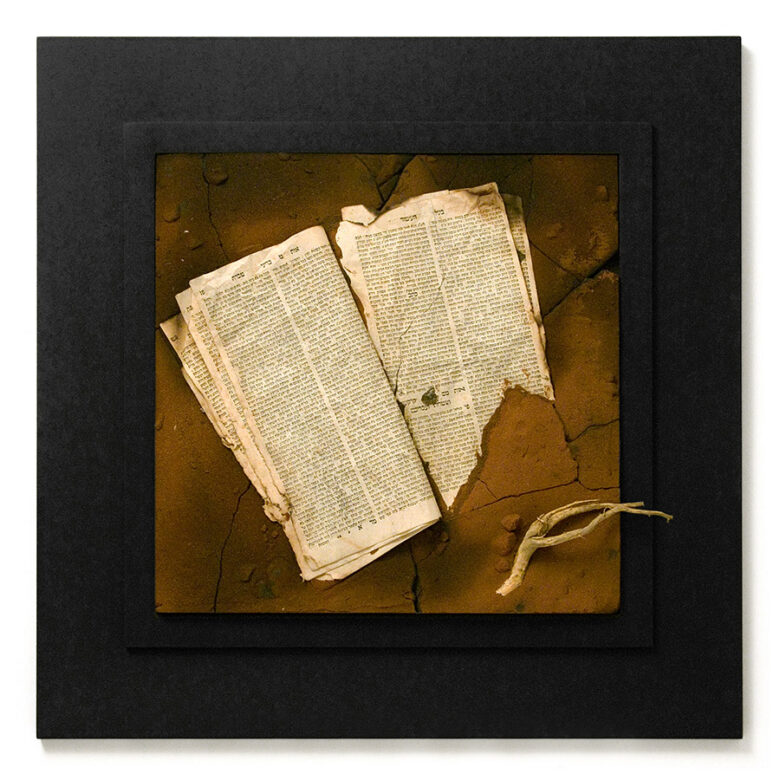 Könyv, 2011., fa, papír stb., vegyes technika, 70 x 70 cm