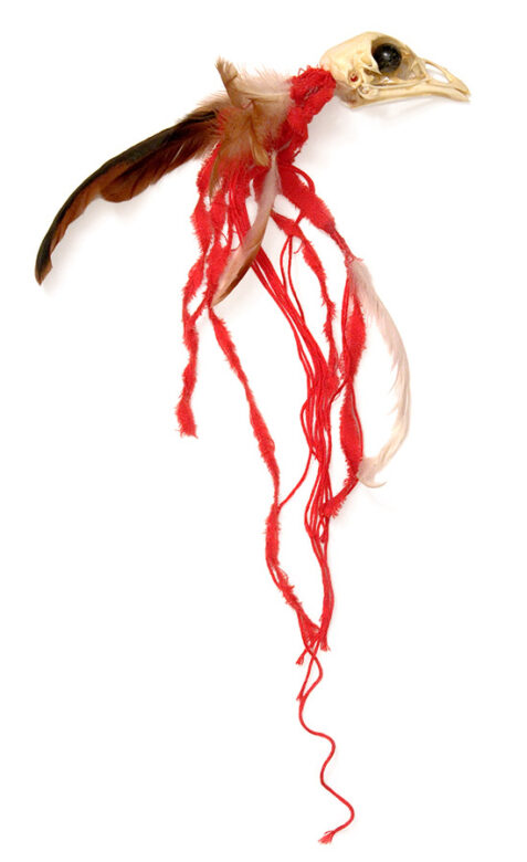 Cultic proto-money, 2003., chicken's skull, feather, textile etc., mixed technique, 400 x 110 mm